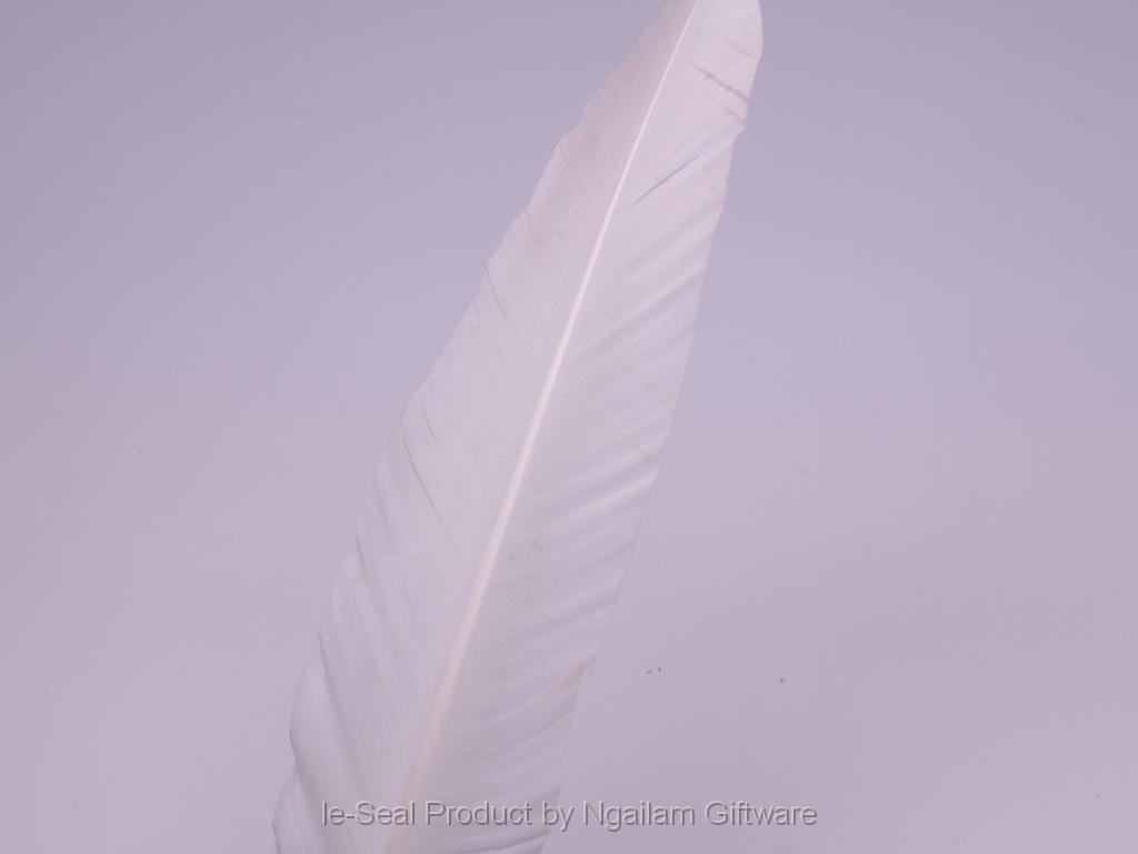 Feather color - White.JPG